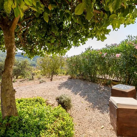 Tipica Ibicenca Con Piscina Privada! 度假居